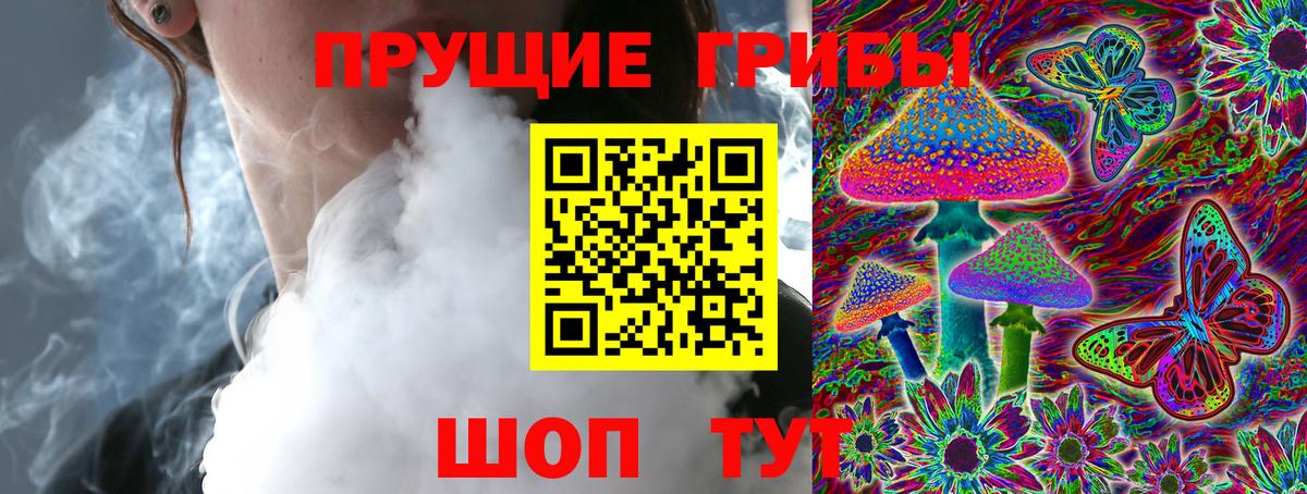 Фрязино  Галлюциногенные грибы Psilocybe  Вход с VPN  магазин продажи наркотиков  Галлюциногенные грибы Magic Shrooms 