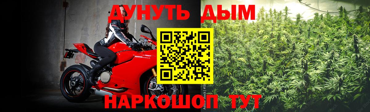 Шишки марихуана конопля Фрязино